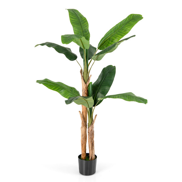 Primrue 5.5 Ft. Faux Banana Tree In Pot Decorative Plant Indoor/Outdoor